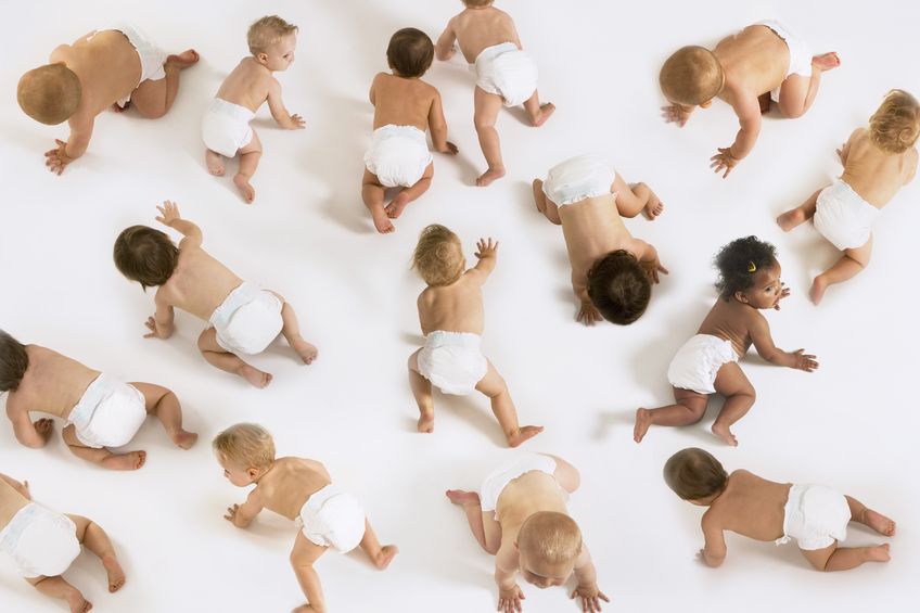 large group of babies montage